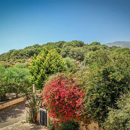 Villa Lumina Kaş
